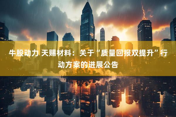 牛股动力 天赐材料：关于“质量回报双提升”行动方案的进展公告