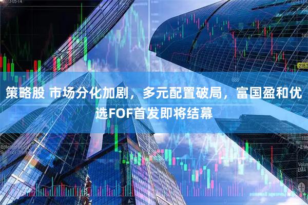 策略股 市场分化加剧，多元配置破局，富国盈和优选FOF首发即将结幕