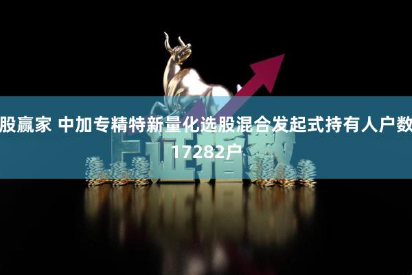 股赢家 中加专精特新量化选股混合发起式持有人户数17282户