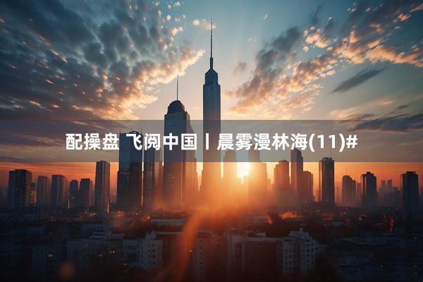 配操盘 飞阅中国丨晨雾漫林海(11)#